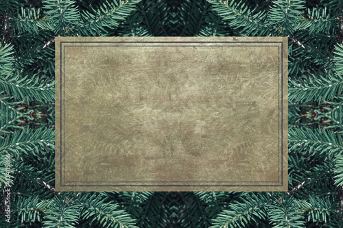 evergreen fir trees