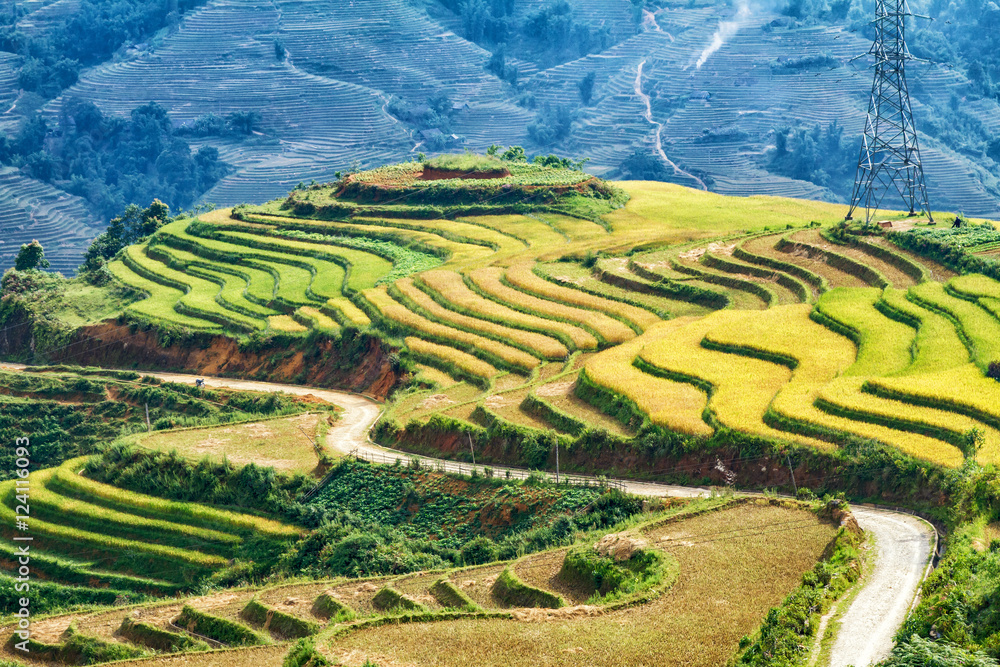 Beautiful rice paddy fields during trip HANOI to SAPA at Northwest Vietnam.Vietnam landscapes. Beautiful rice paddy fields during trip HANOI to SAPA at Northwest Vietnam.Vietnam landscapes.