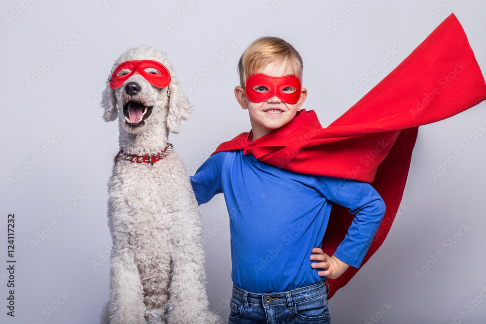 dog dressed as superman