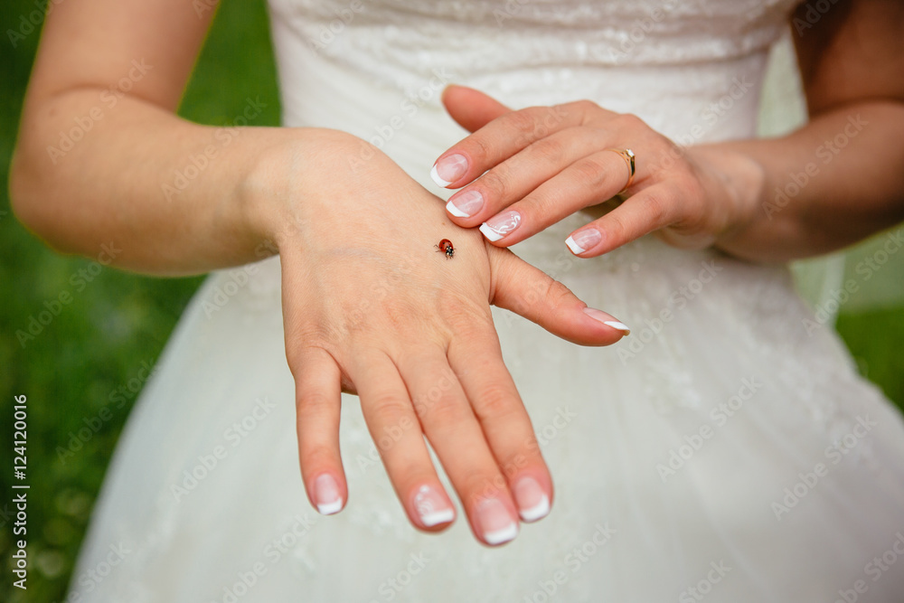 Ladybug lies on the bride's arm Ladybug lies on the bride's arm