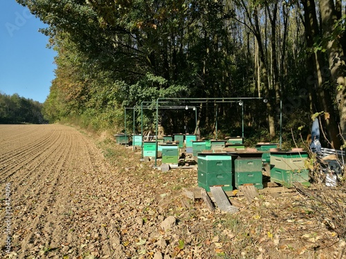 Bienenstöcke eines Imker an einem bestellten Acker und Feld im Herbst bei blauem Himmel und Sonnenschein am Rand des Teutoburger Wald in Oerlinghausen bei Asemissen und Bielefeld in Ostwestfalen-Lippe photo