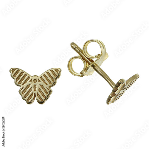 Bilde på lerret Small earrings on white background.