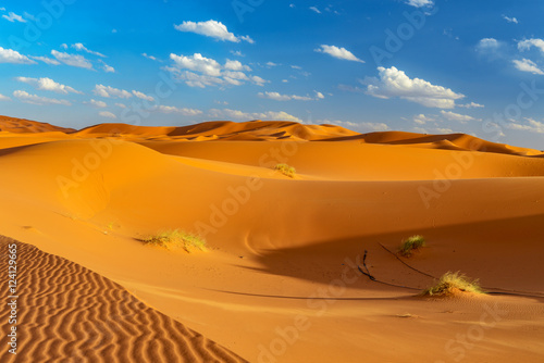 dunes of sahara at erfoud in morocco