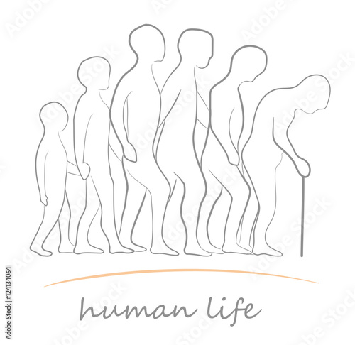 human life at different ages. vector illustration