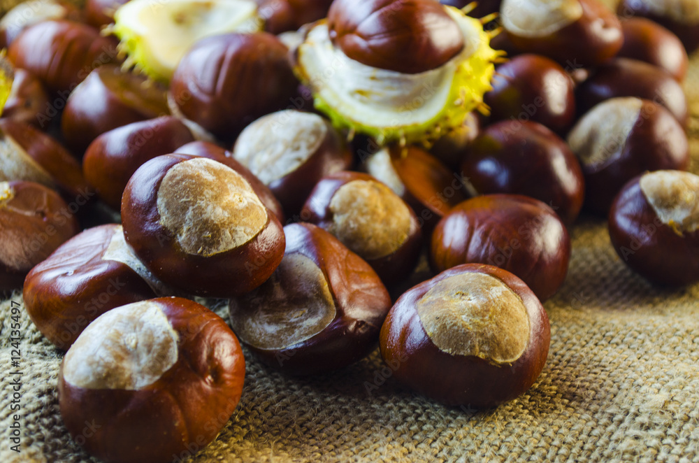 many chestnut closeup