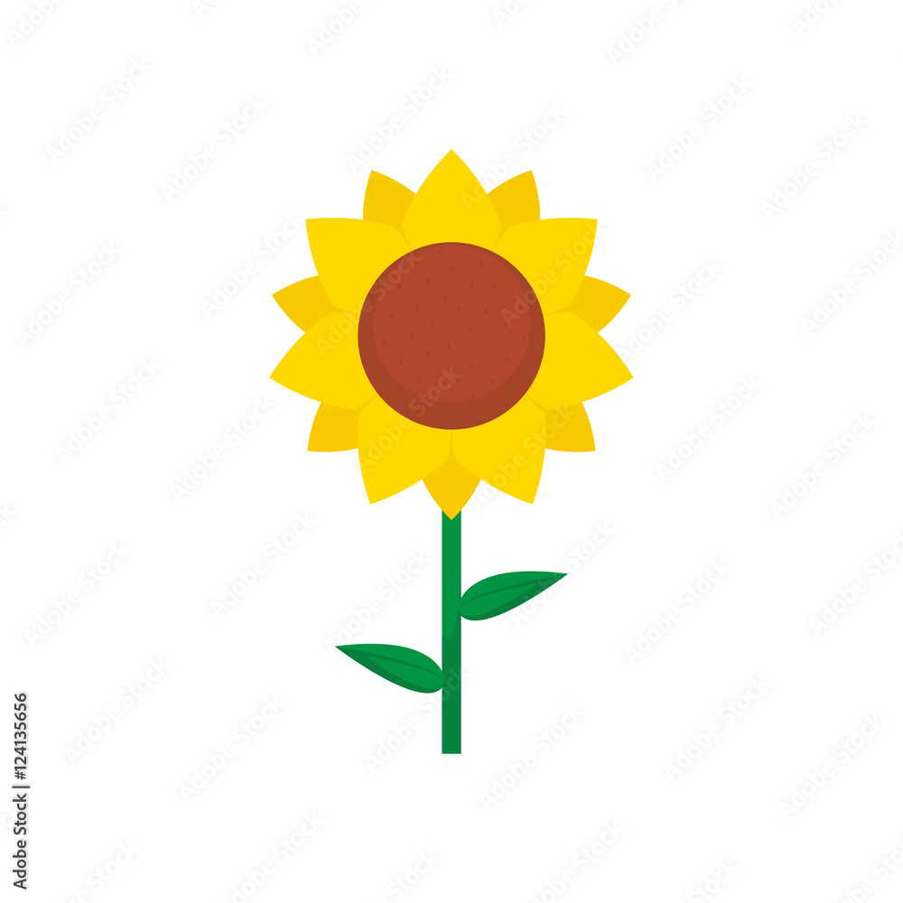Naklejka premium Sunflower vector isolated