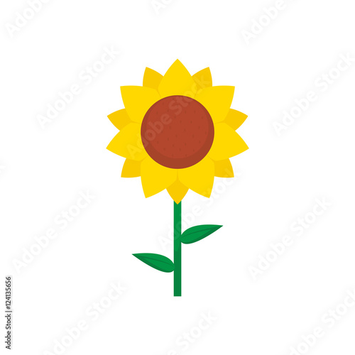 Sunflower vector isolated
