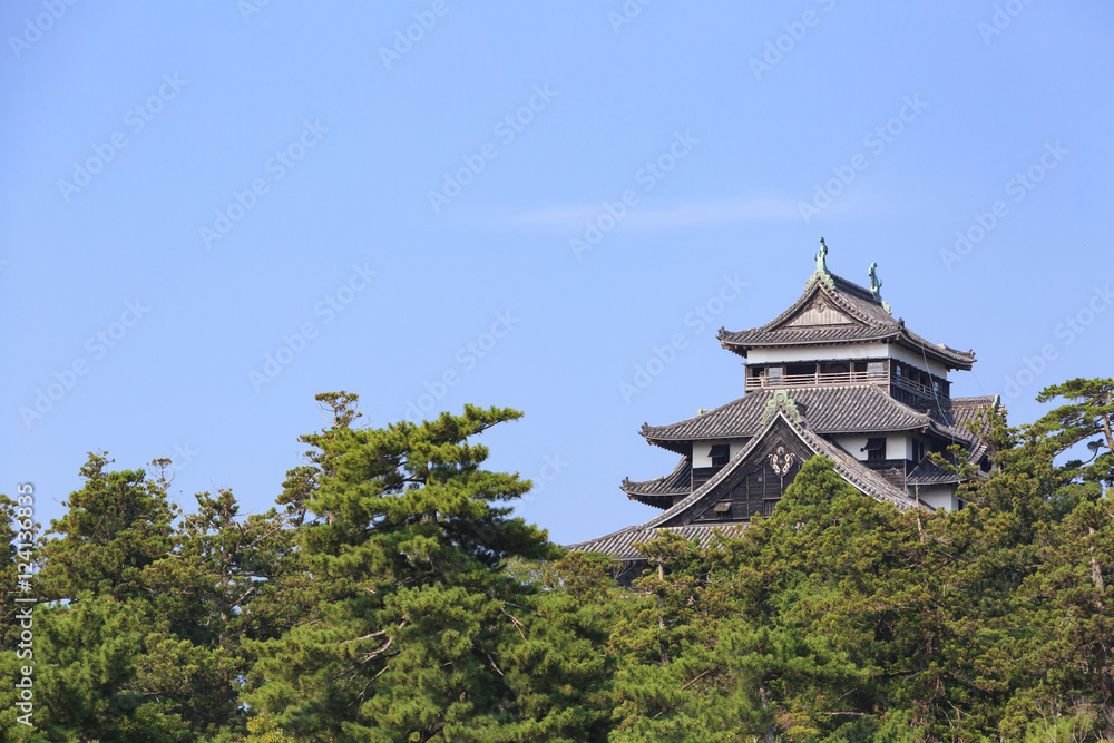 Fototapeta premium 国宝 松江城 -別名:千鳥城-