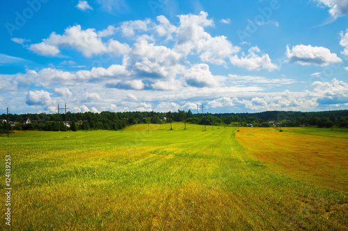 Rural summer landscape. Sunny day in the countryside. Field of green grass and blue sky with cumulus clouds.