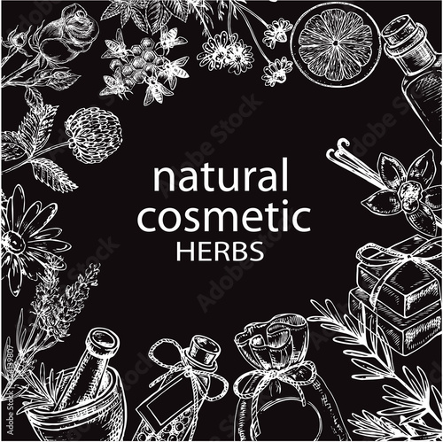 hand drawn botanic set natural cosmetics