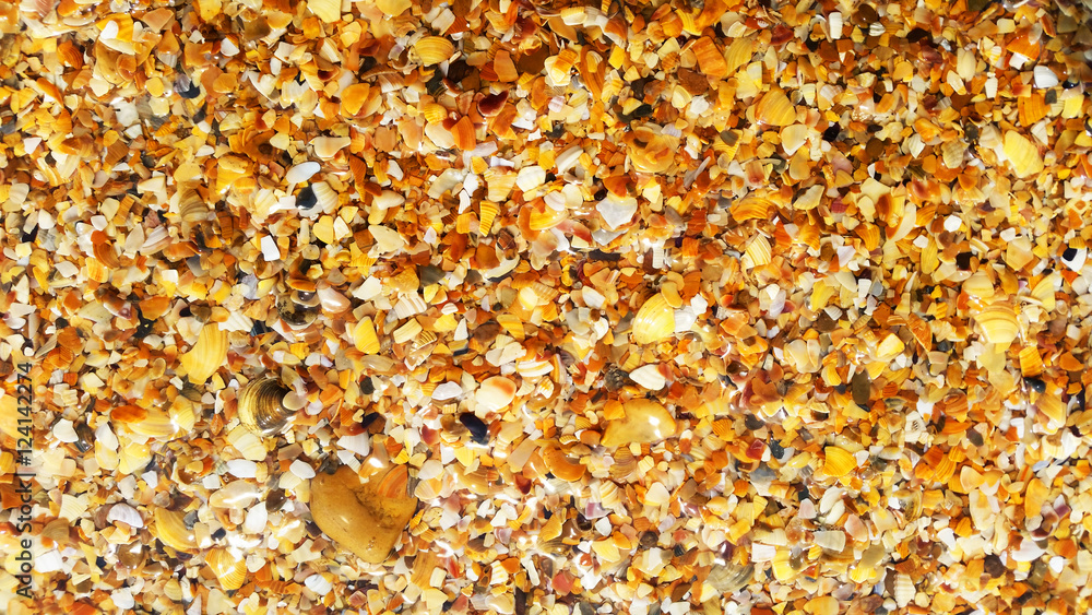 Sand beach. Small colorful shells. Marine background. Sand beach. Small colorful shells. Marine background.