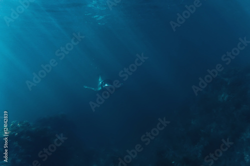 Freediver swimming among seaweed