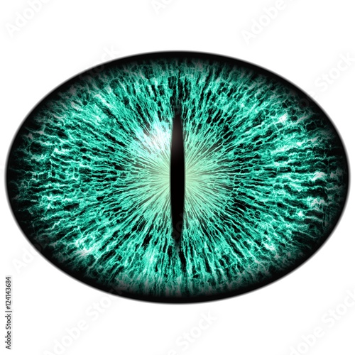 Green animal eye with large pupil and bright retina in background. Dark green iris