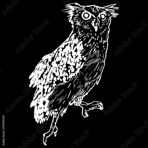 Vector handpicked hand-drawn ilustration with Owl