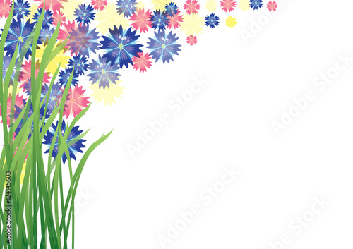 flowers2