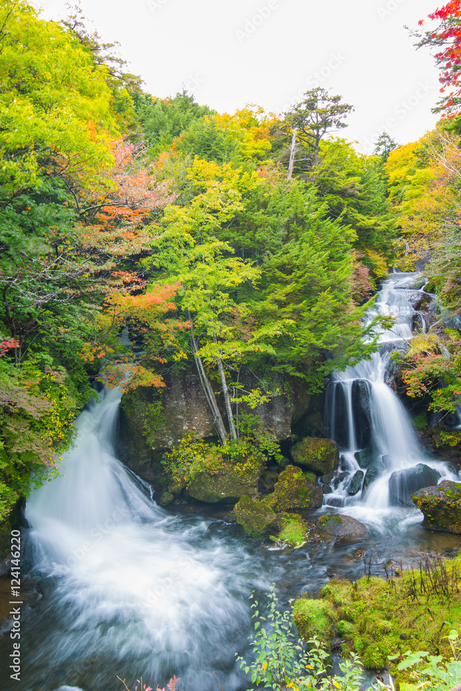 日本の滝 日本の滝