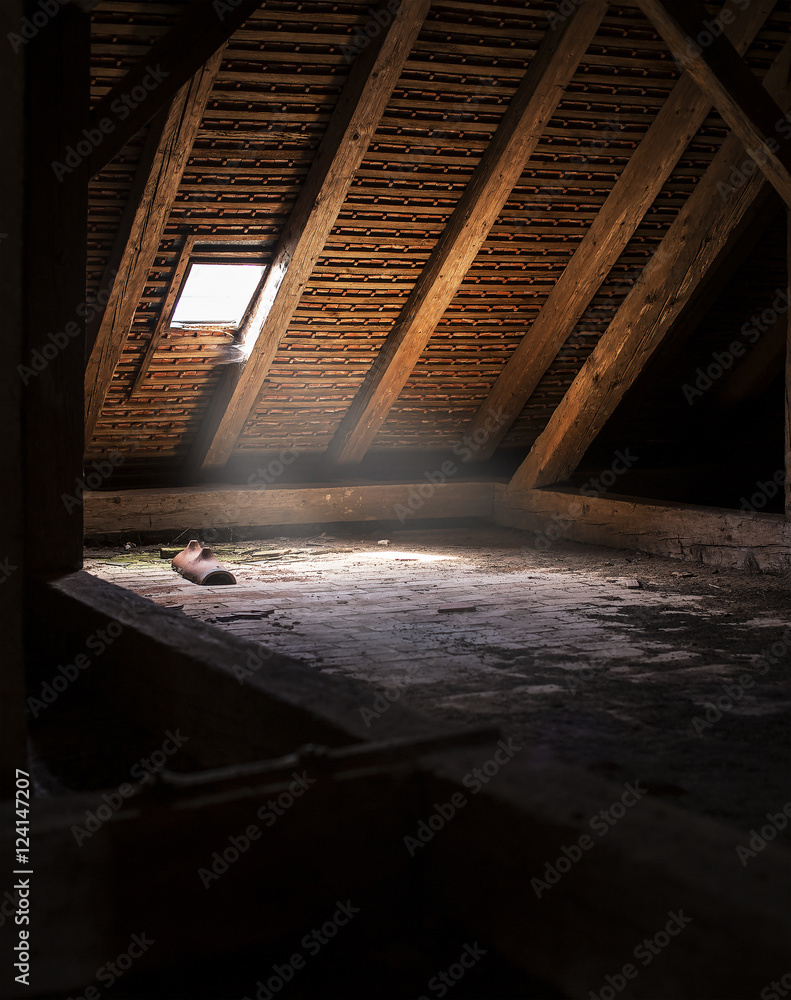 In the attic - obrazy, fototapety, plakaty 