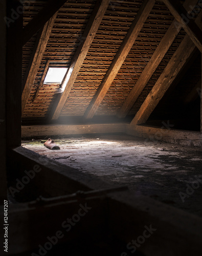 In the attic photo