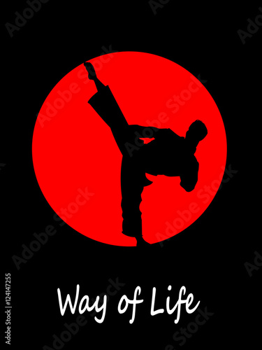 Silhouette of a karateka doing standing side kick
