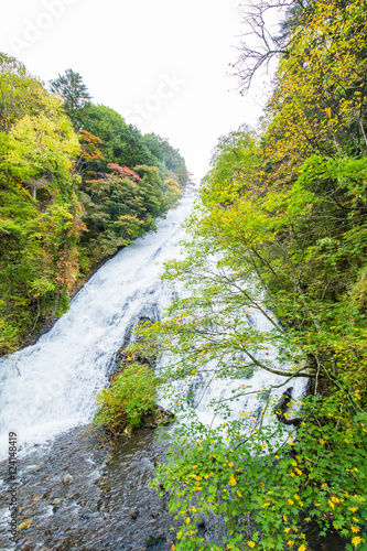 日本の滝
