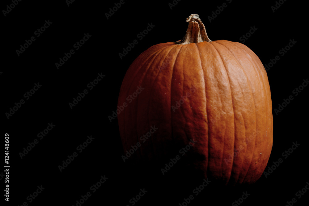 Fototapeta premium pumpkin on black background Halloween concept