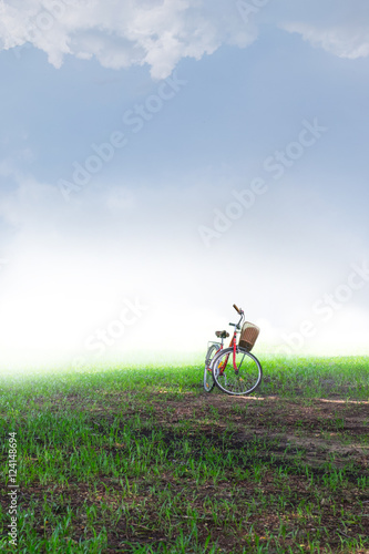 bicycle on green grass under blue sky