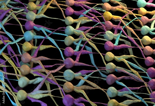 Color neuronal network. neuron net. 3D Illustration. photo