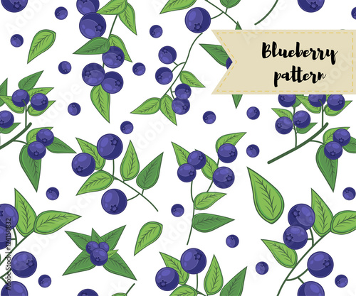 vector blueberry seamless pattern. background, pattern, fabric design, wrapping paper, cover