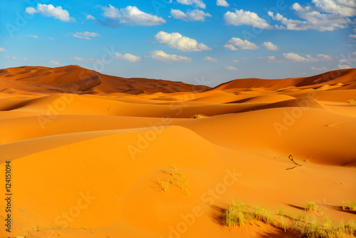 dunes of sahara at erfoud in morocco