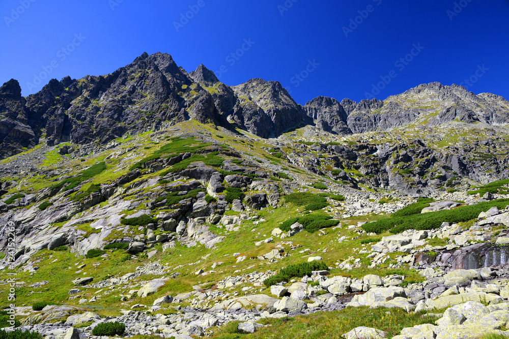 Mountain landscape in Western Carpathians. Mlynicka Valley in Vysoke Tatry (High Tatras), Slovakia