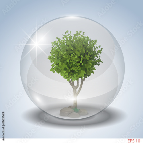 Deciduous tree in a protective glass sphere ball. Vector graphics