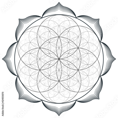vector mandala sacred geometry illustration.