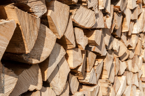Pile of firewood