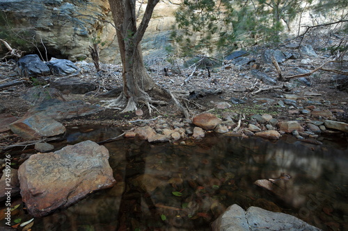 Die Landschaft der Caatinga in Brasilien    photo