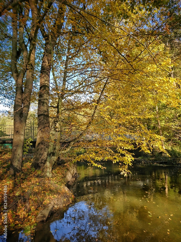 Jesień Rzeka Łyna