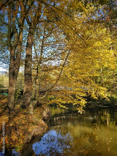 Jesień Rzeka Łyna © P.Ch. Fotografia