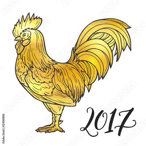 Stylized golden rooster hand drawn in lines isolated on white background. 2017 symbol. Vector illustration. Can be used for website background, greeting cards, calendar, printing