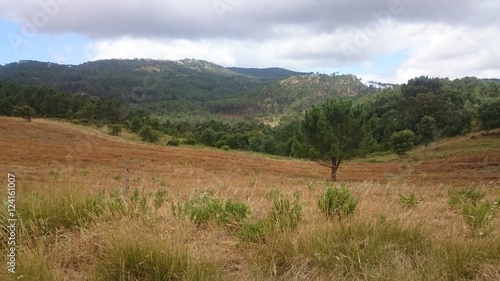 Portugal Sintra Fields