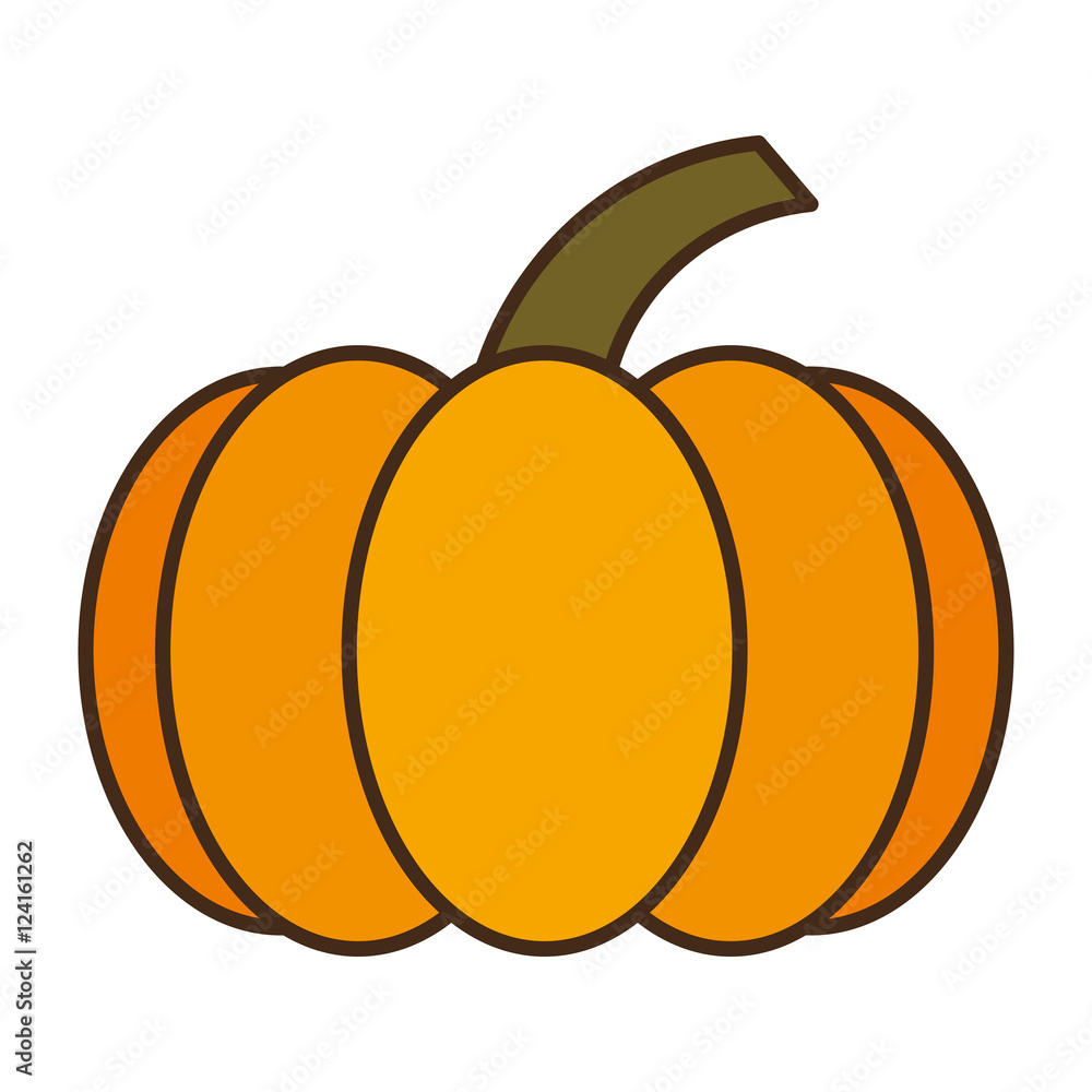 Thanksgiving pumpkin isolated icon vector illustration design