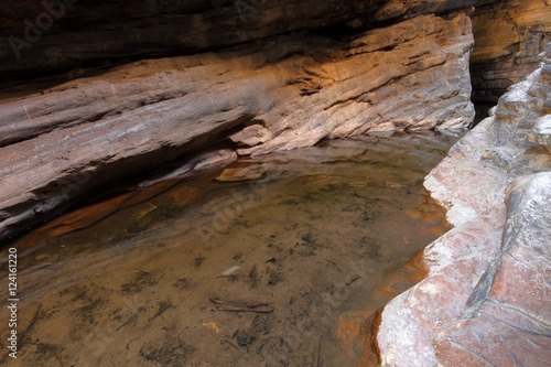 Fische im Fluss photo