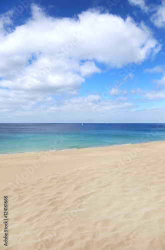 Fototapeta Naklejka Na Ścianę i Meble -  Sommer auf Fuerteventura