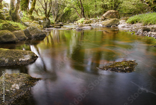 River glencree slowly flowing displaying beautiful reflections in the water © Wouter