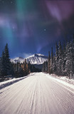 Northern lights over snowy road, Jasper, Alberta, Canada