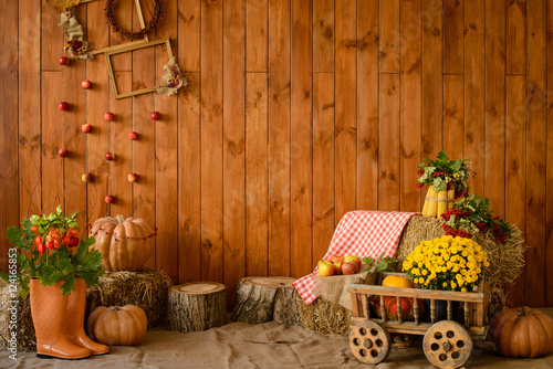Autumn interior. Elements for autumn compositions © chernikovatv
