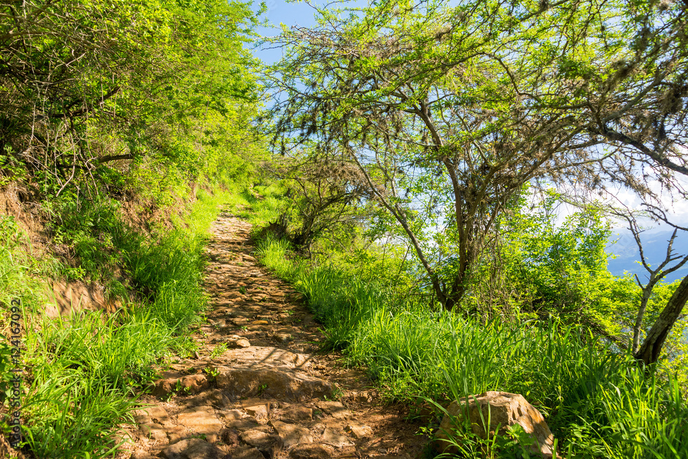 Path Between Barichara and Guane Path Between Barichara and Guane