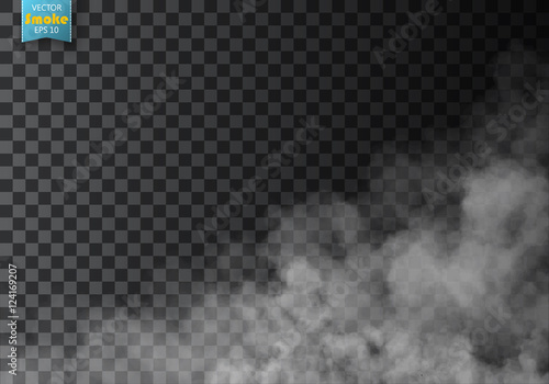 Fog or smoke isolated transparent special effect. White vector cloudiness, mist or smog background. Vector illustration