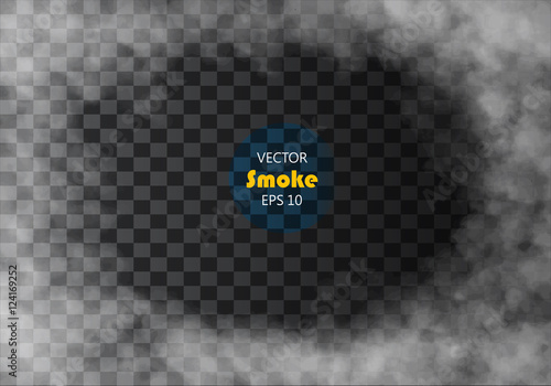 Fog or smoke isolated transparent special effect. White vector cloudiness, mist or smog background. Vector illustration