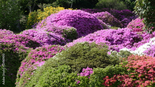 Villa Carlotta at Tremezzo on the Lake Como