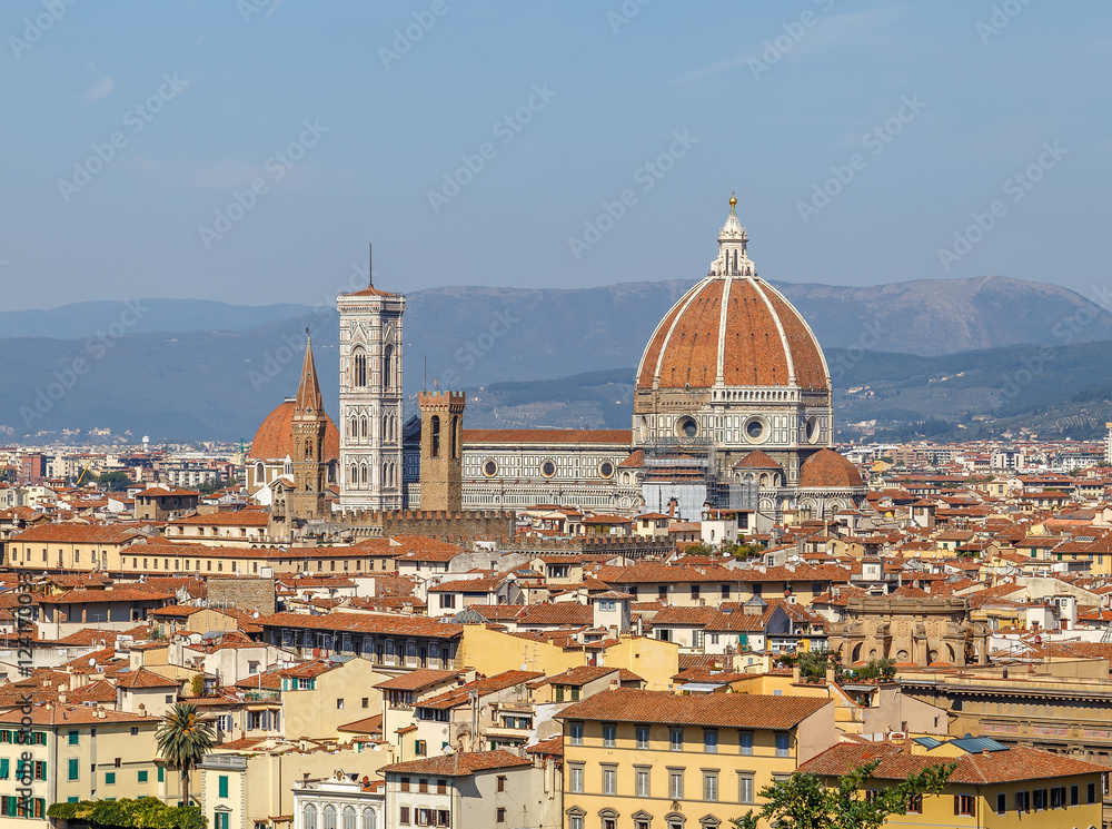 View of the Cathedral of Santa Maria del Fiore in Florence