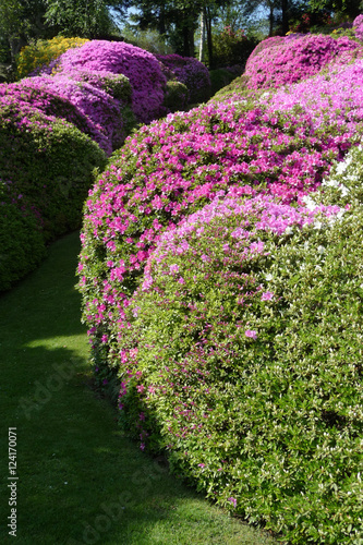 Villa Carlotta at Tremezzo on the Lake Como